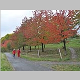 2014 Photo Competition 