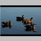 2014 Photo Competition 
